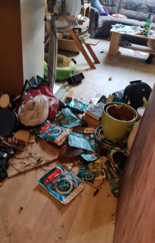 Bild mit Chaos