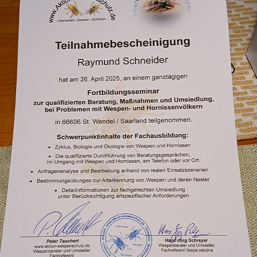 Umsiedeln von Wespen und Hornissen zuverlässig -  Kammerjäger und Schädlingsbekämpfer Schneider Saarbrücken